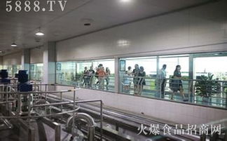 蒙牛達能強強聯合 以精細化管理賦能低溫乳業高質量發展